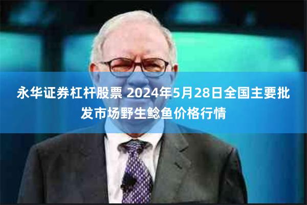永华证券杠杆股票 2024年5月28日全国主要批发市场野生鲶鱼价格行情