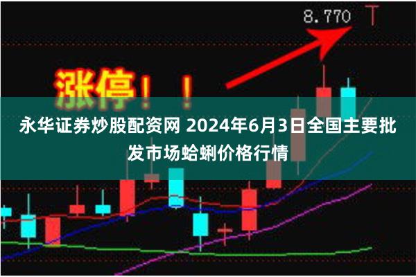 永华证券炒股配资网 2024年6月3日全国主要批发市场蛤蜊价格行情
