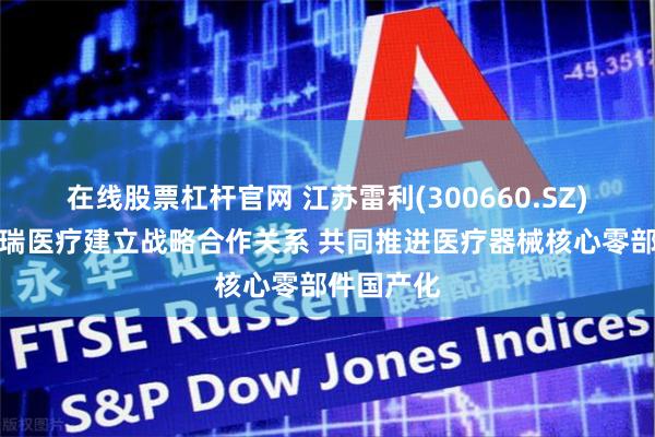 在线股票杠杆官网 江苏雷利(300660.SZ)：已与迈瑞医疗建立战略合作关系 共同推进医疗器械核心零部件国产化