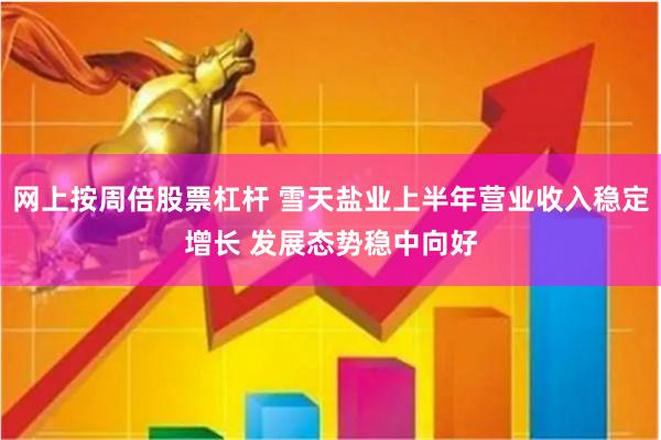 网上按周倍股票杠杆 雪天盐业上半年营业收入稳定增长 发展态势稳中向好