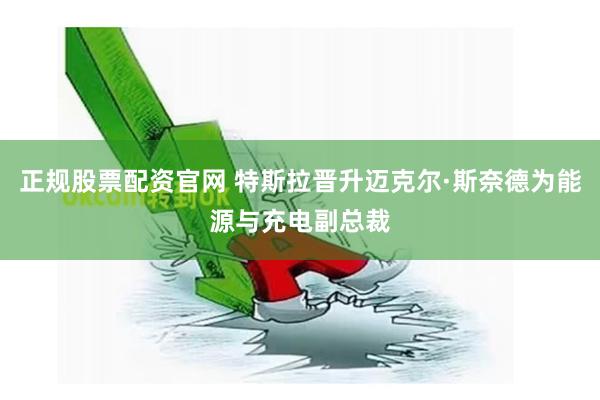 正规股票配资官网 特斯拉晋升迈克尔·斯奈德为能源与充电副总裁